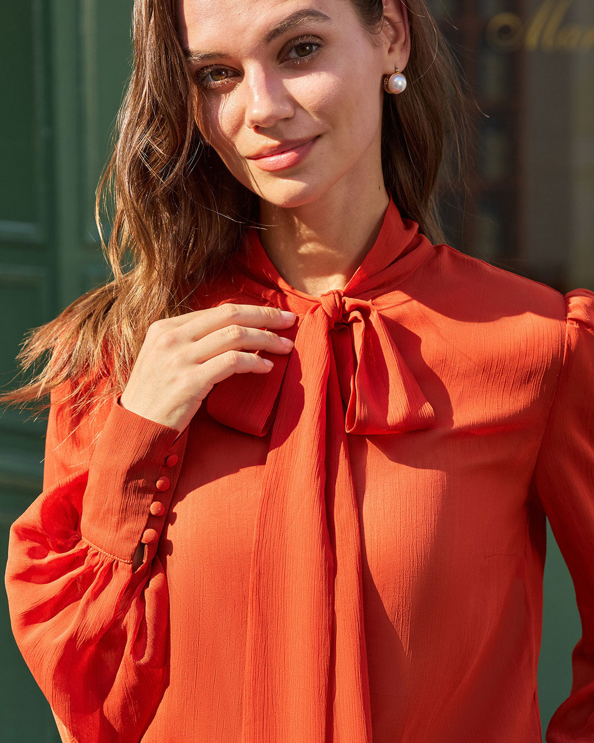 Brick Red Chiffon Tie Neck Shirt